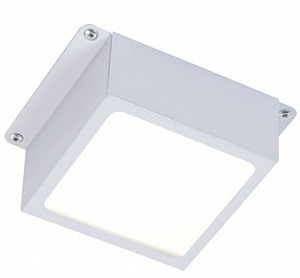 NEWLED.ARM.G.60.100X100.5K.IP44.Х6